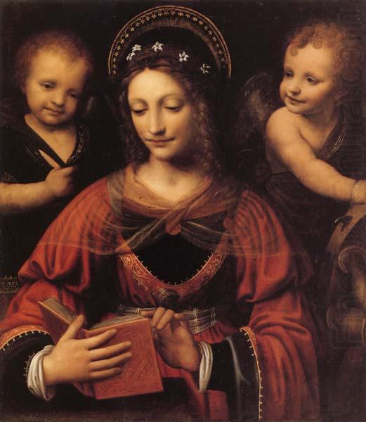 St.Catherine, LUINI, Bernardino